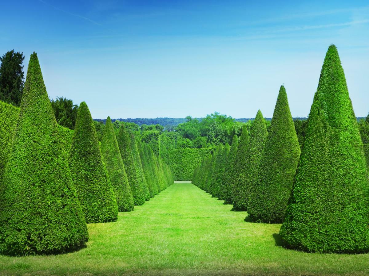 Les Petits Apparts Versailles Eksteriør billede